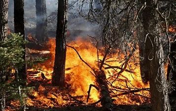 Da domani, 8 marzo, revocato, in Piemonte, lo stato di massima pericolosità per gli incendi boschivi
