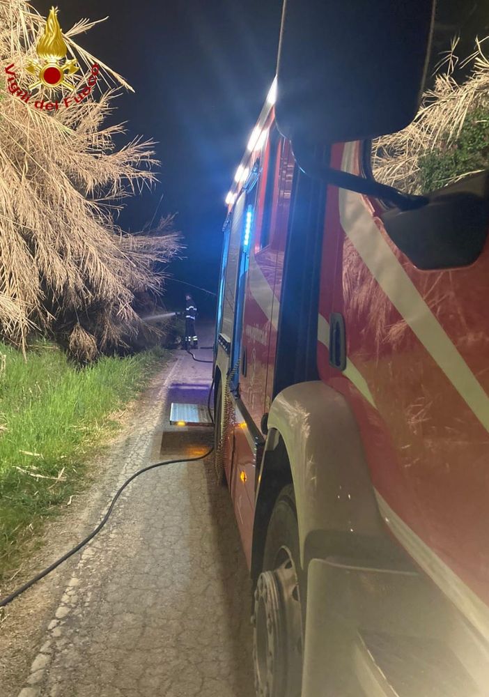 Incendio in un canneto ad Antignano