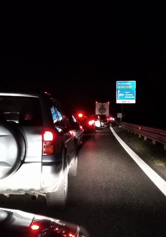 Grosso incidente in tangenziale a causa di alcuni cinghiali