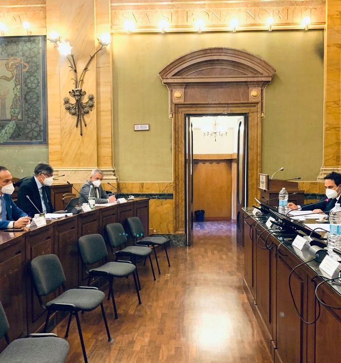 Peste suina: Cirio incontra Patuanelli e Speranza. Con la Liguria si chiedono aiuti e ristori