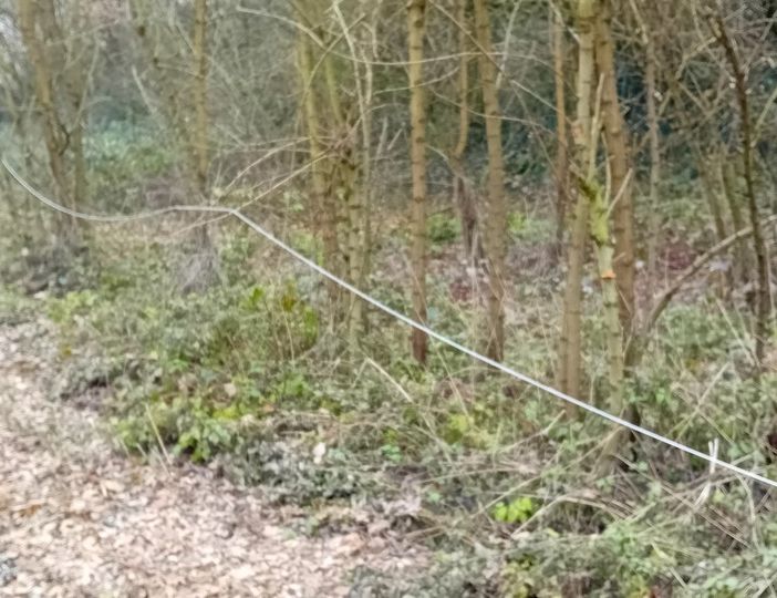 Alcune foto inviateci dal nostro lettore che documentano le linee telefoniche in zona