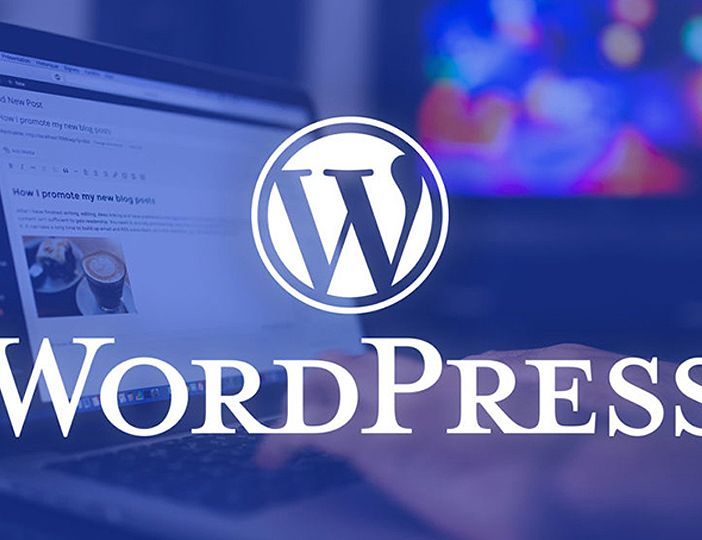 Come scegliere l'hosting per wordpress: tutto quello che devi sapere