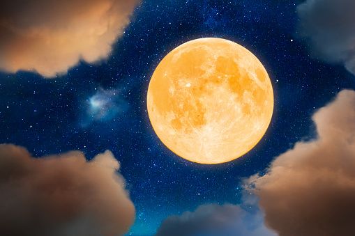 Asti Film Festival sale sulla luna: da questa mattina incontri nelle scuole e tavola rotonda in Sala Pastrone
