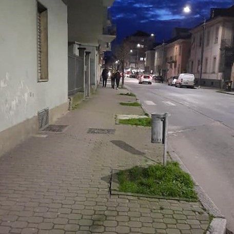 Abbattimento alberi corso Matteotti
