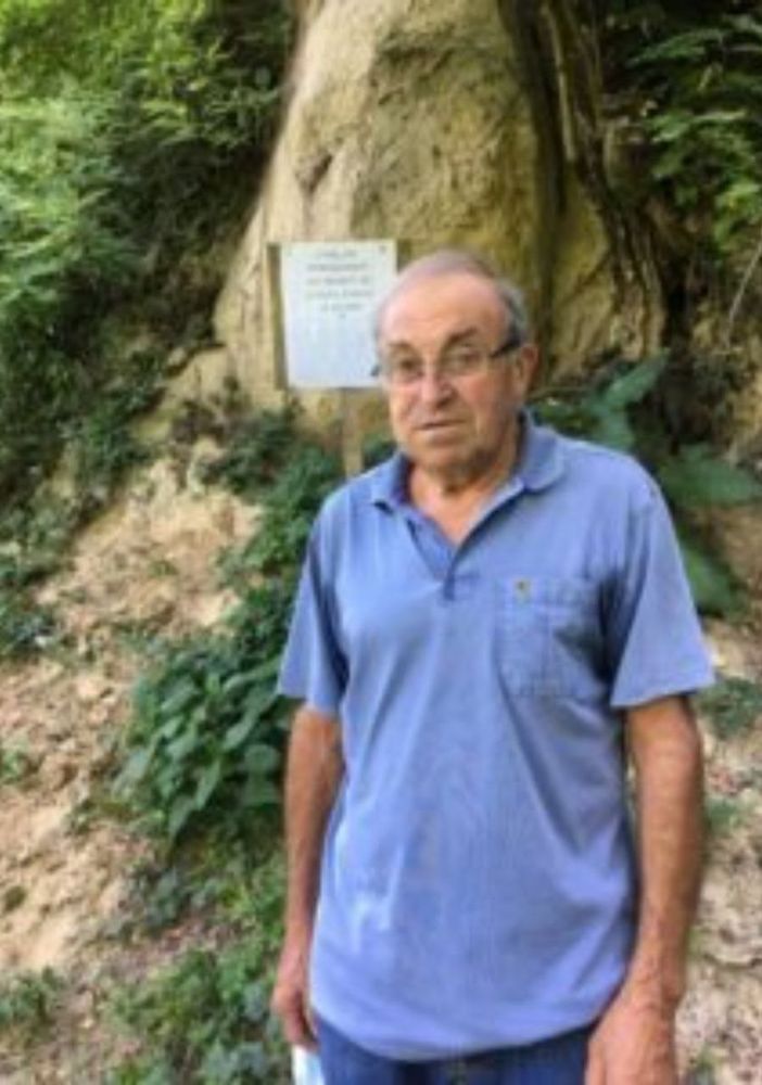 Luigi Mauro Pelissero