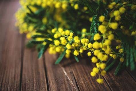 Questa sera ad Agliano serata per le donne con il Rotary Club di Canelli-Nizza e l’Inner Wheel Club di Asti