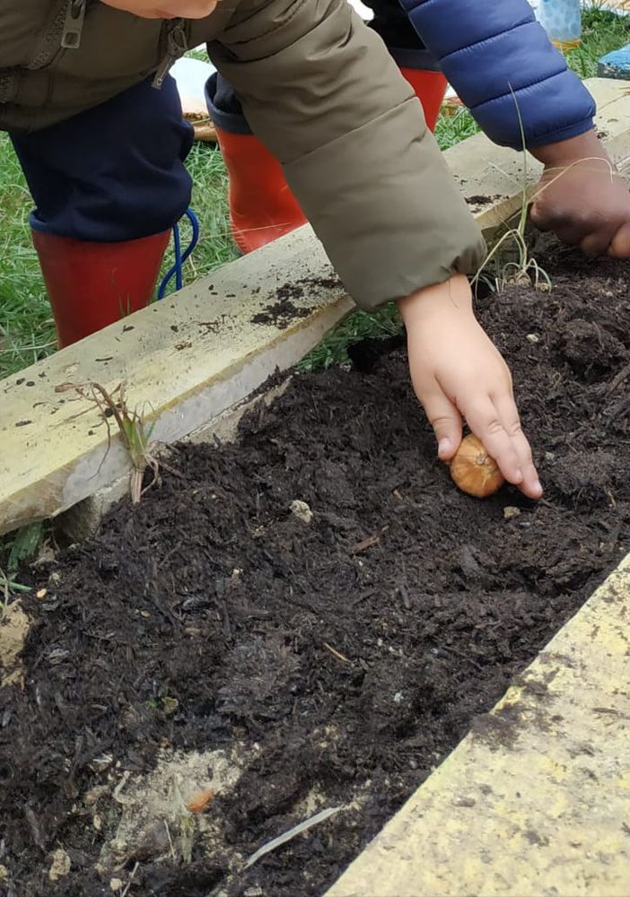 Ad Asti i nidi di infanzia festeggiano l'albero amico e alleato dell'uomo