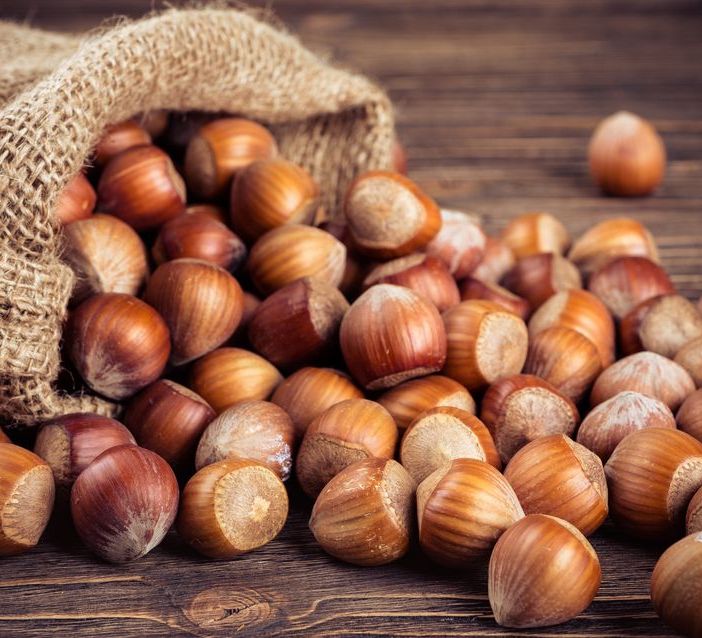 Nocciole: arriva un prezzo di riferimento per la campagna 2023