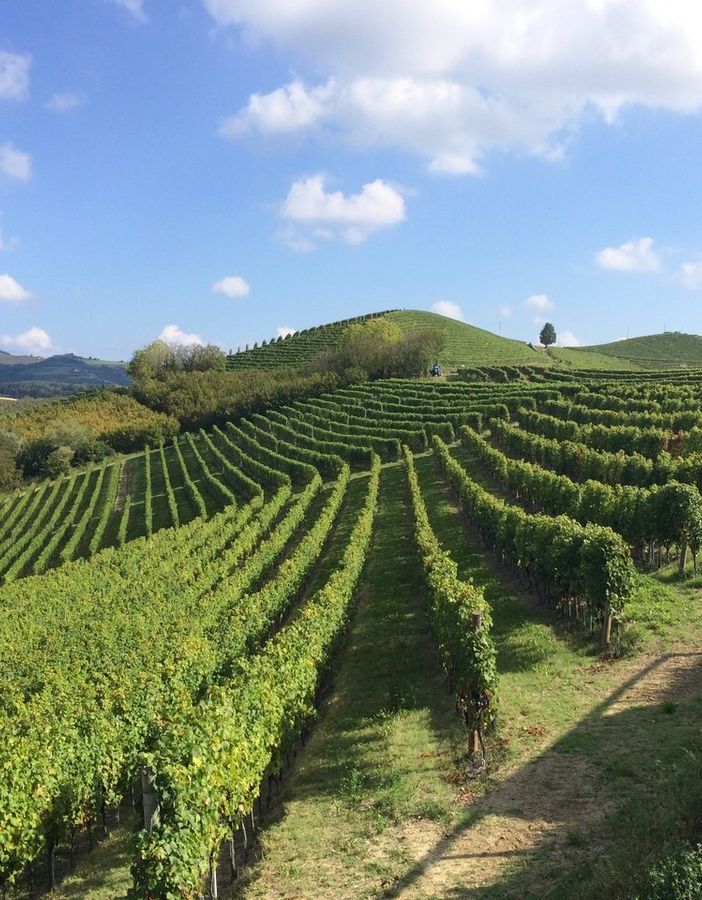 Biodiversità e cambiamenti climatici: un dialogo cruciale a Ferrere d’Asti
