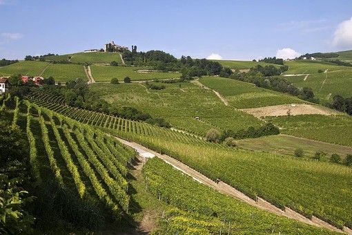 Ambiente, il Forum Salviamo il Paesaggio attacca la giunta Cirio: &quot;Burocrazia snella non significa deregulation&quot;