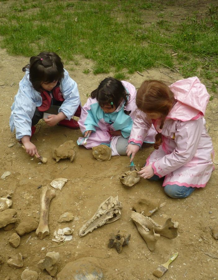 Ripartono le giornate dedicate alle famiglie organizzate dal Parco Paleontologico di Asti