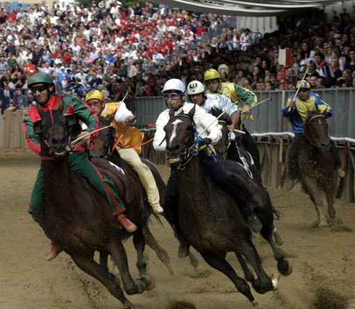Doping al Palio di Asti del 2014, giudice assolve tutti i fantini e i proprietari degli animali imputati