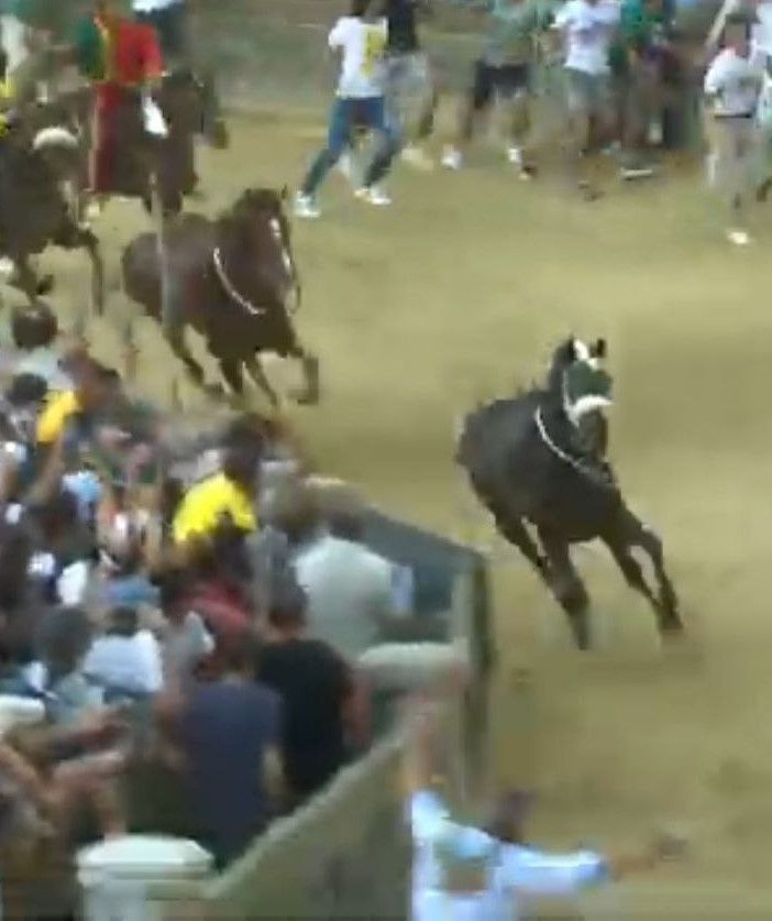 Foto tratta dal frame del video di Gazzetta di Siena