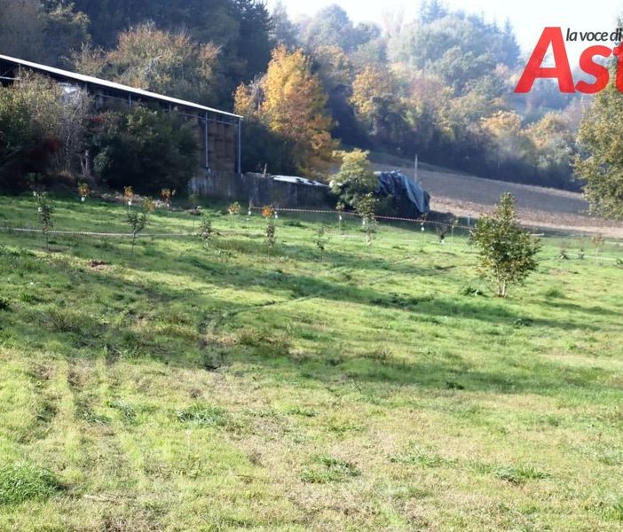 Nella Giornata degli Alberi al Parco Fruttuoso di Asti arriva anche la panchina rossa