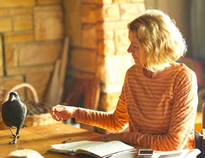 Al Lumière di Asti il film 'Penguin Bloom', la storia vera che ha emozionato il mondo