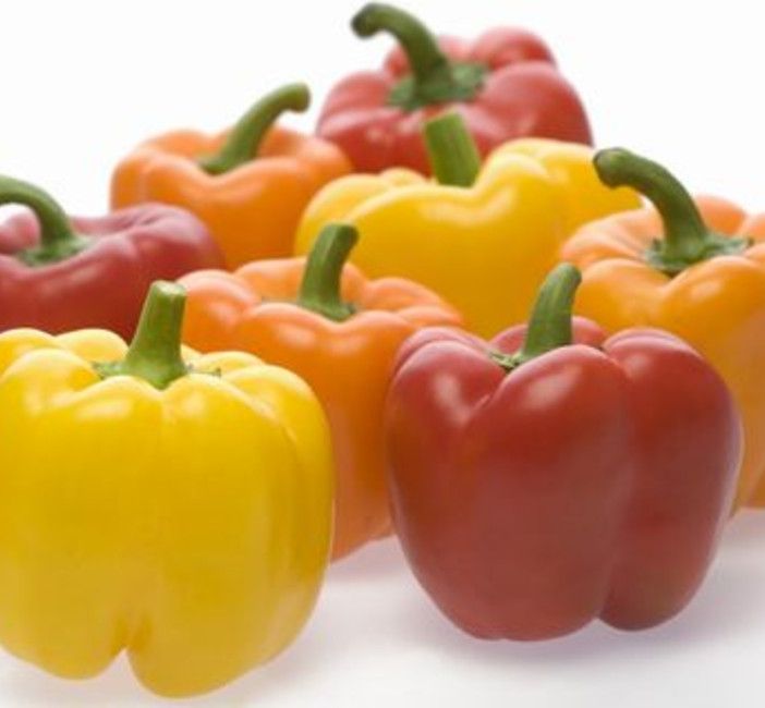 Tutti gli appuntamenti del fine settimana ad Asti e dintorni