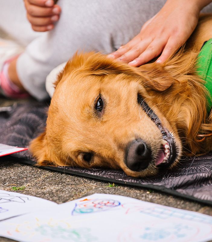 Pet teraphy: la Regione incontra gli operatori del settore lunedì 13 giugno