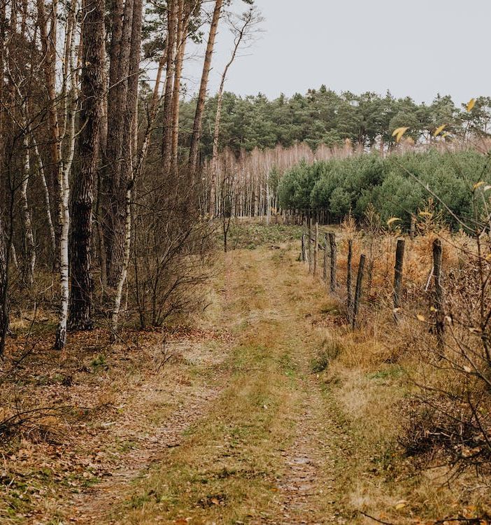 Alla scoperta della natura e dei tesori del Roero e del Monferrato: una giornata dedicata alla biodiversità e ai tartufi