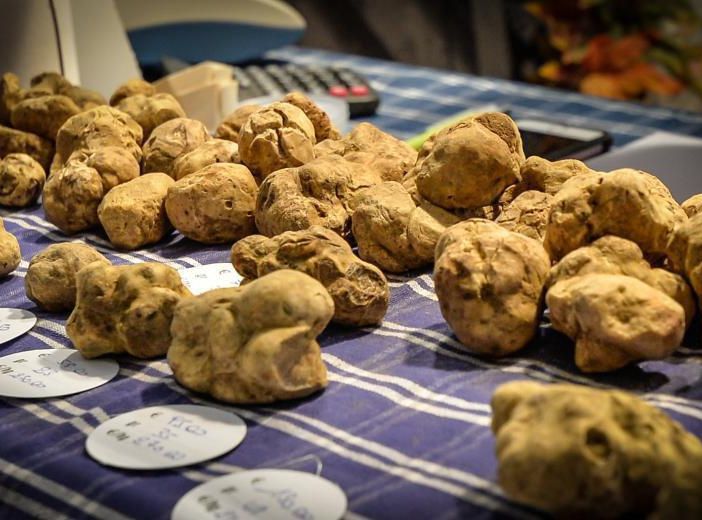 Assemble annuale della Tartuficoltori Associati Astigiani, domenica 15 marzo