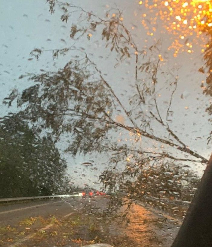 Foto tratta dal canale Telegram del gruppo Dati Meteo Asti