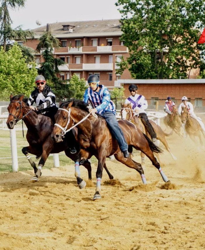 Foto di Merfephoto