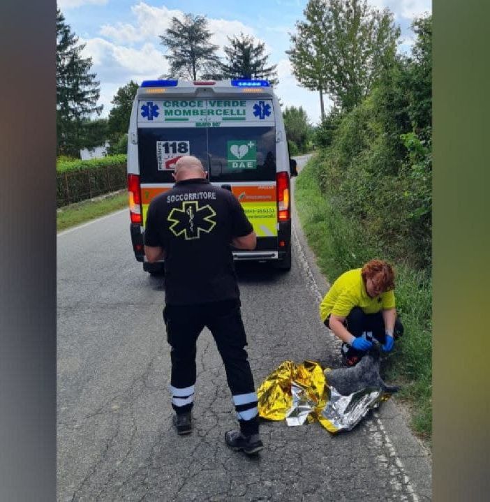 Un momento del salvataggio di un cane in difficoltà (foto tratta dalla pagina Facebook della Croce Verde Mombercellese)