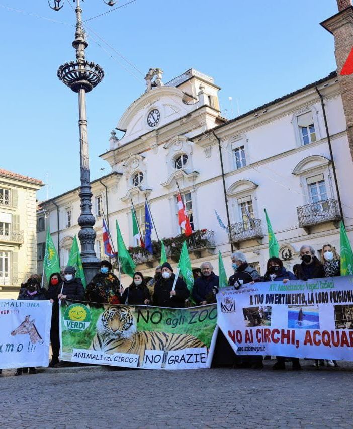 Foto di Merfephoto