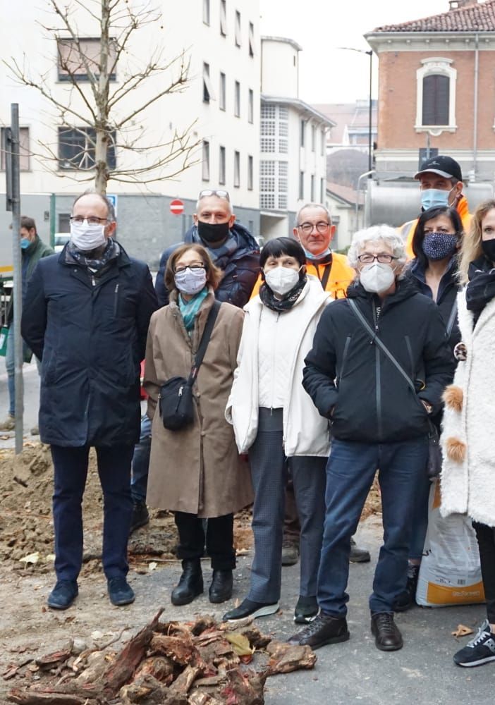 Asti, rimossi in via Rosselli i ceppi del platano abbattuto ad agosto e messe a dimora nuove piante [FOTO]