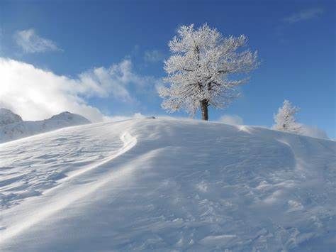 Le vacanze invernali si passano in Piemonte. Secondo il sondaggio Metis, il 35% degli italiani pensa a una vacanza  nel prossimo inverno e di questi il 49% sceglierebbe il Piemonte