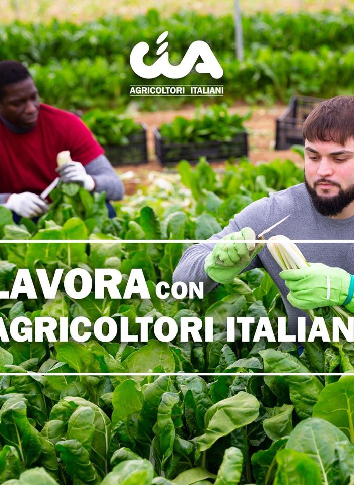 Cia lancia la piattaforma “Lavora con agricoltori italiani”. Sos manodopera: piattaforma su web per far incontrare domanda e offerta