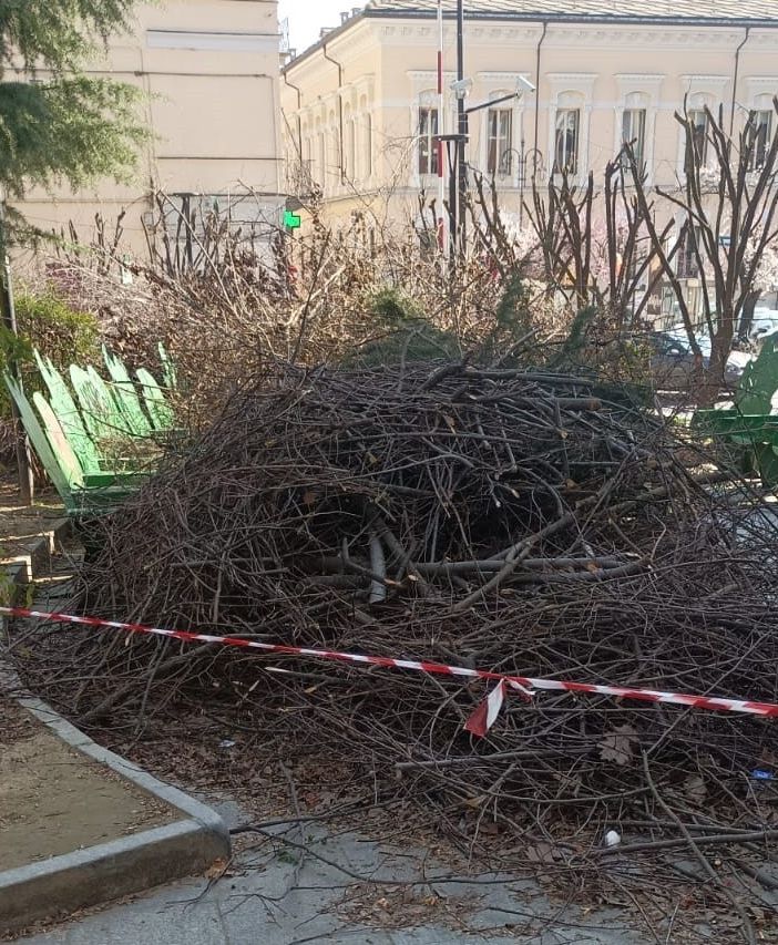 Consiglieri di opposizione all'attacco: &quot;Nei giardini Alganon rami abbandonati da 15 giorni dopo la potatura&quot;