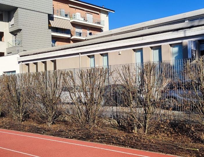 &quot;Il verde intorno al Palazzetto dello Sport di Asti funziona da barriera anti smog: la potatura è eccessiva&quot;