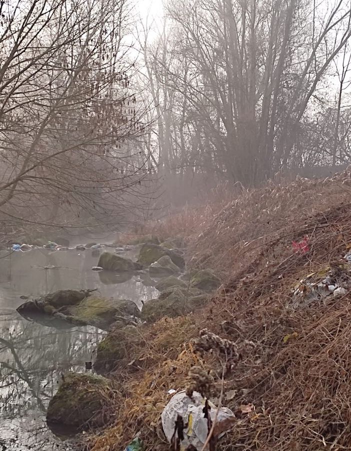 Volontari della Protezione civile di Asti sul Versa per abbattimento piante [FOTO]