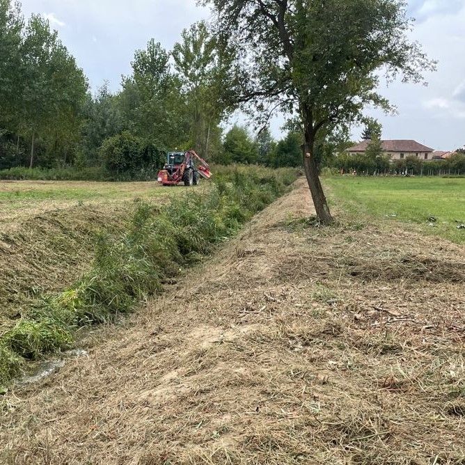 A Quarto, dopo l'incontro sulla questione campo nomadi, si puliscono le sponde del rio