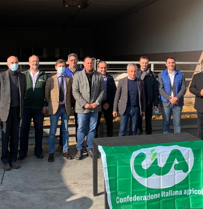 Cia a difesa della Razza Piemontese: &quot;Urgente riequilibrare la catena dei prezzi a favore degli allevatori&quot;