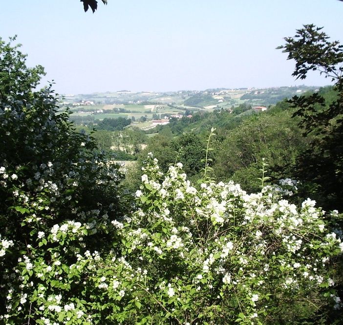 II Comune di Castell'Alfero propone &quot;Quattro passi tra boschi e giardini&quot;