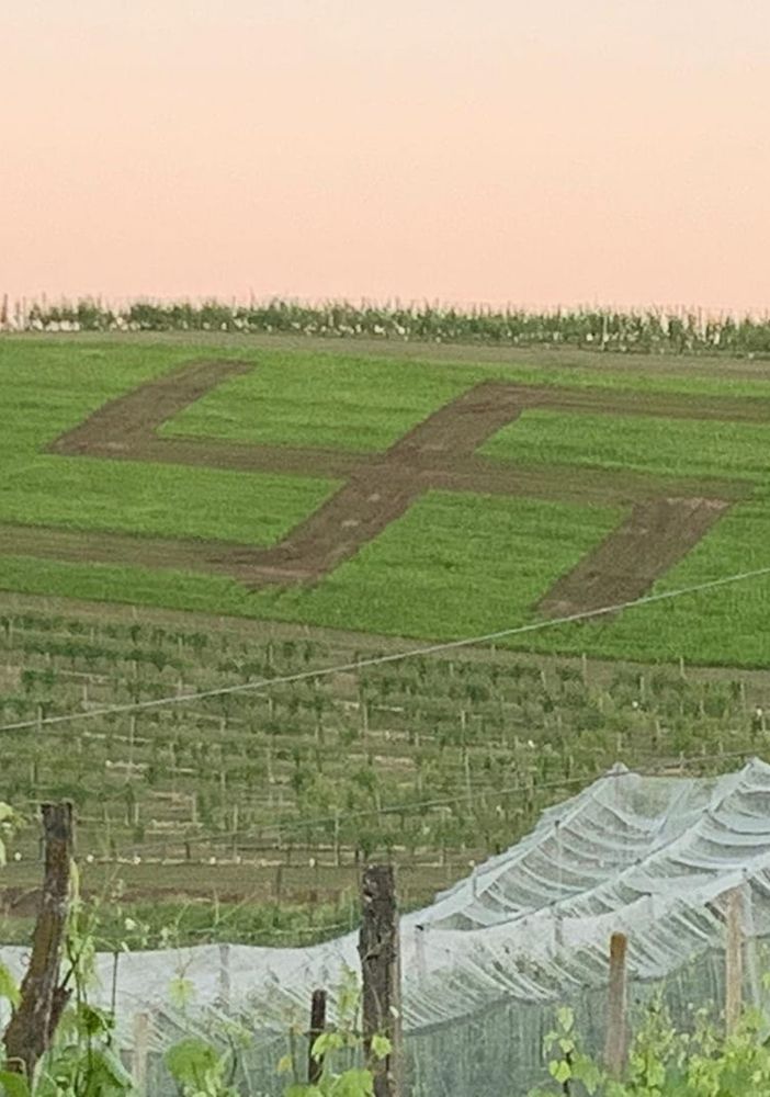 Una svastica &quot;compare&quot; in un campo vicino San Damiano. Prontamente eliminata, ha comunque scatenato indignazione sui social