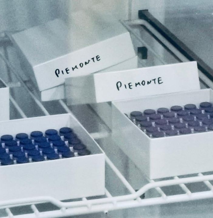 Scatole di vaccini anti Covid