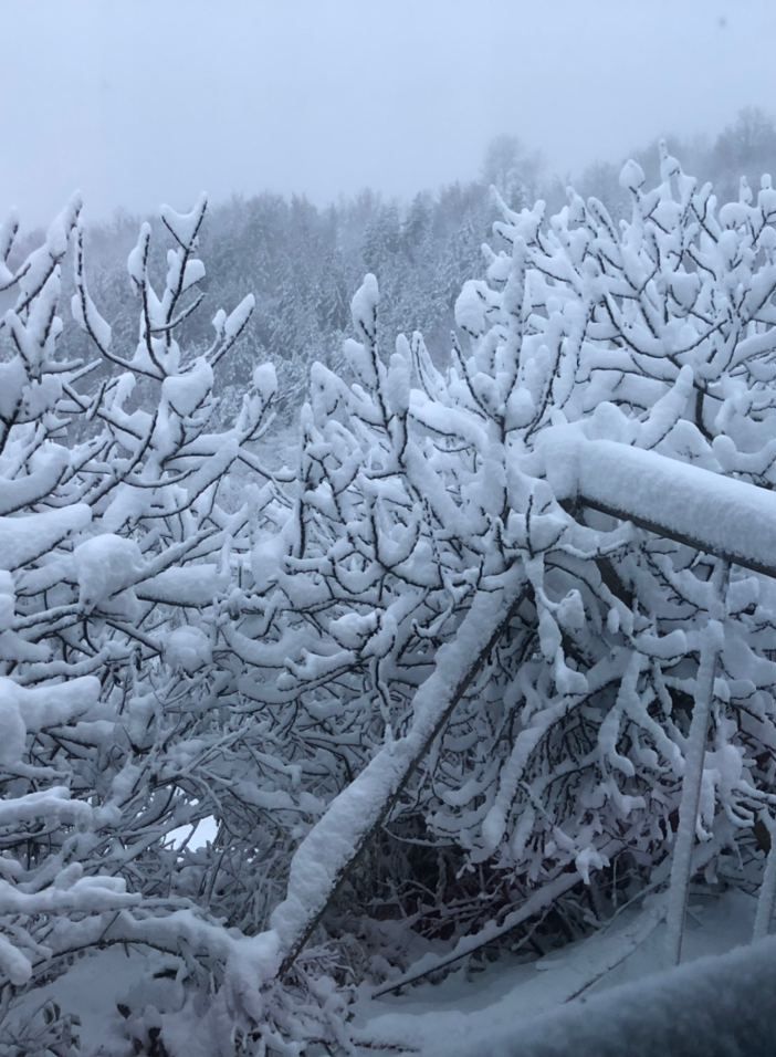 Sessame (Foto Angela canale Telegram Dati Meteo Asti)