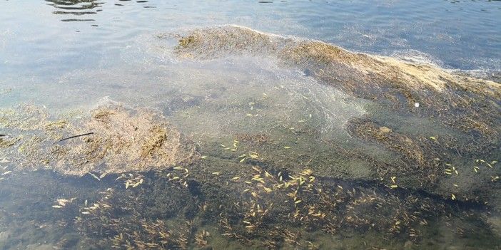 Siccità, il Piemonte domani chiederà l'allerta rossa: &quot;Altri Comuni a rischio stop notturno acqua