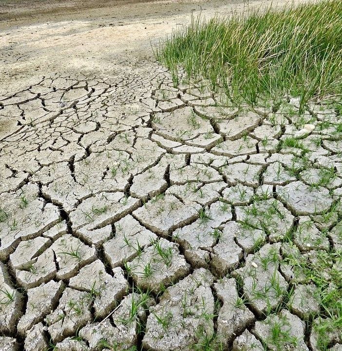 Confagricoltura Piemonte e un 2022 destinato a passare alla storia per la siccità