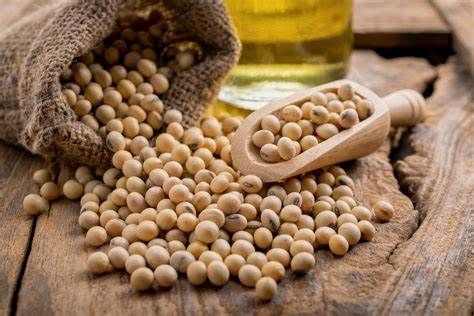 Confagricoltura: aumentano i prezzi dei cereali e della soia, allevamenti sotto pressione