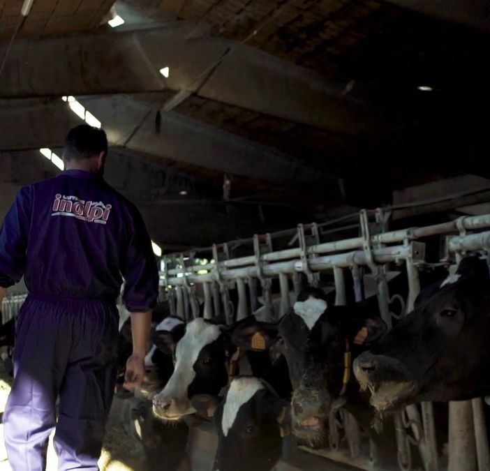 Inalpi sulla protesta agricoltori: &quot;Necessario individuarne i veri obiettivi, ma anche cogliere gli elementi di sostegno&quot;