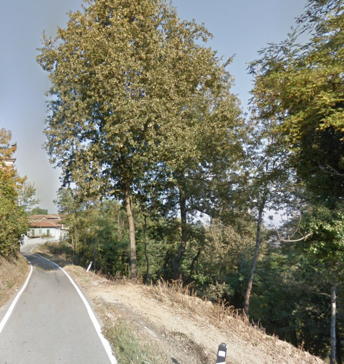Strada Serra Bosia