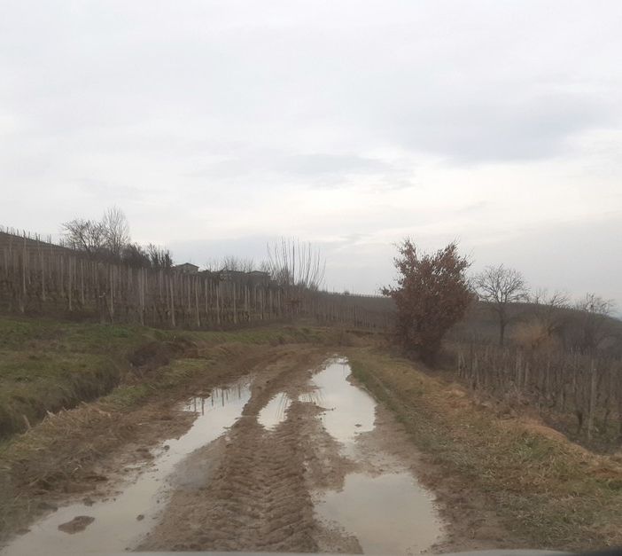 Strade dissestate, una nuova segnalazione porta a Costigliole d'Asti in strada Sottovia [FOTO]