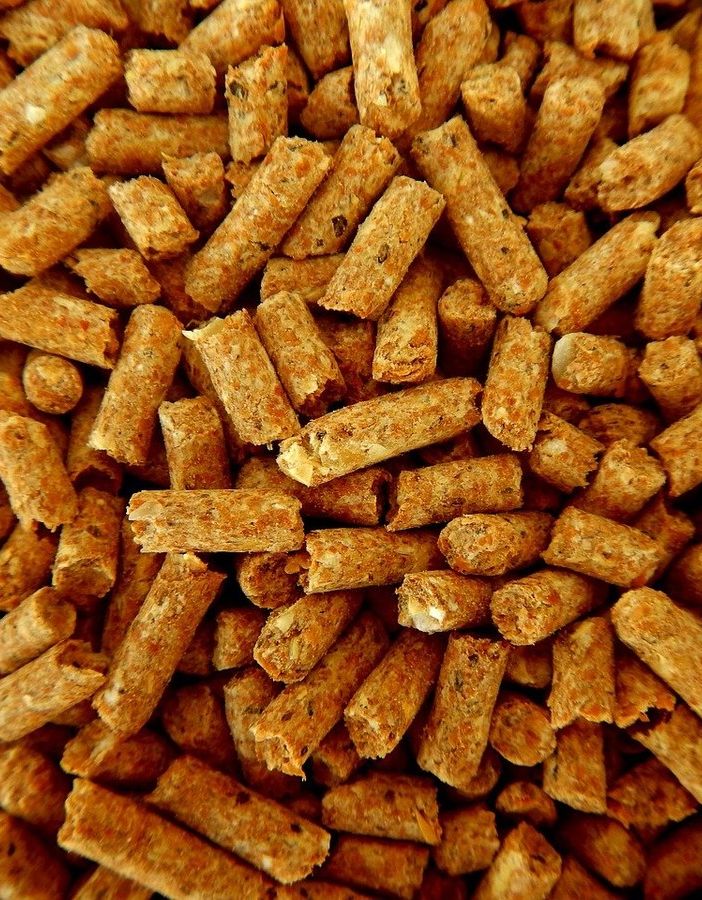 Stufe a pellet risparmio energetico Roma