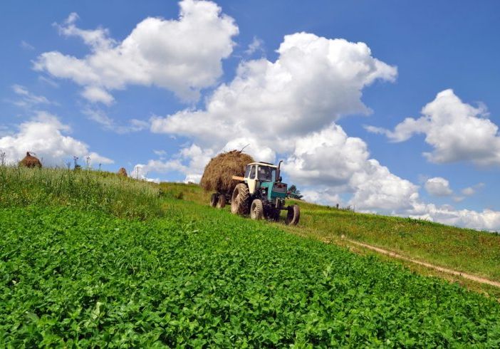 Sviluppo rurale del Piemonte: aperto il bando regionale per la formazione dei consulenti in agricoltura