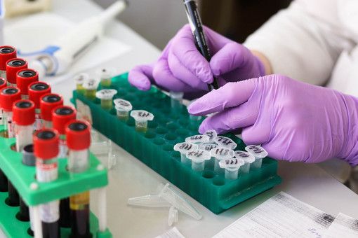 Regione: &quot;In Piemonte tamponi rapidi per gli stranieri che hanno urgenza di tornare al lavoro&quot;