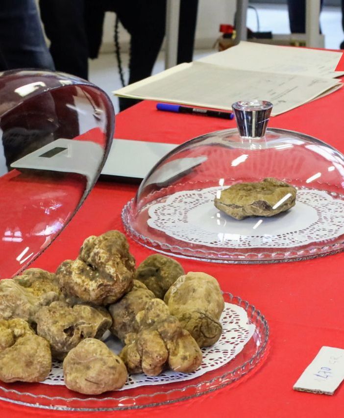 Fino a sera Asti profuma di tartufo con la Fiera Nazionale. I palazzi storici hanno aperto le porte al gusto [FOTOGALLERY]