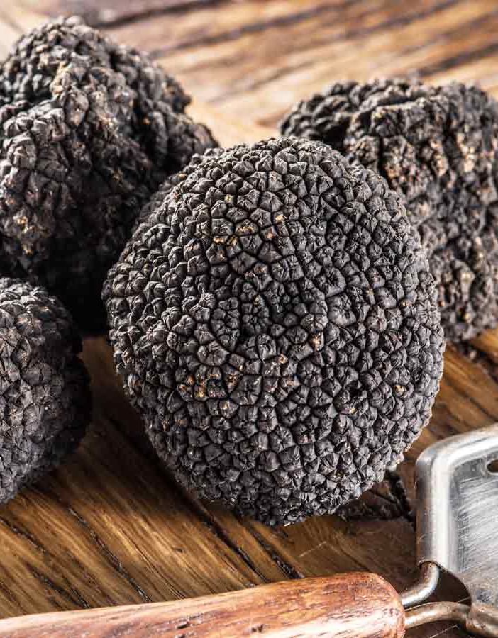 Bianco o nero il tartufo divide l'Alto Astigiano e fa discutere il territorio